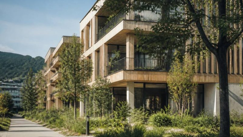 Réduire le carbon footprint dans la construction durable